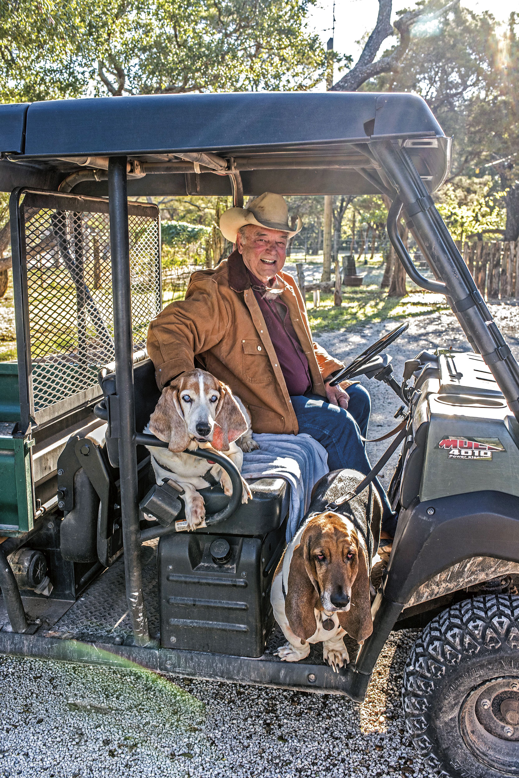 _DSC0338_DOGCART