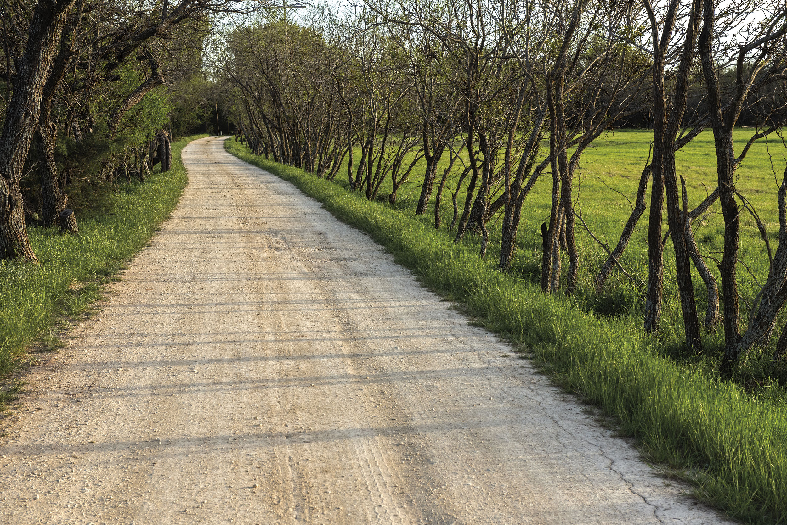 _DSC1523_THEROAD