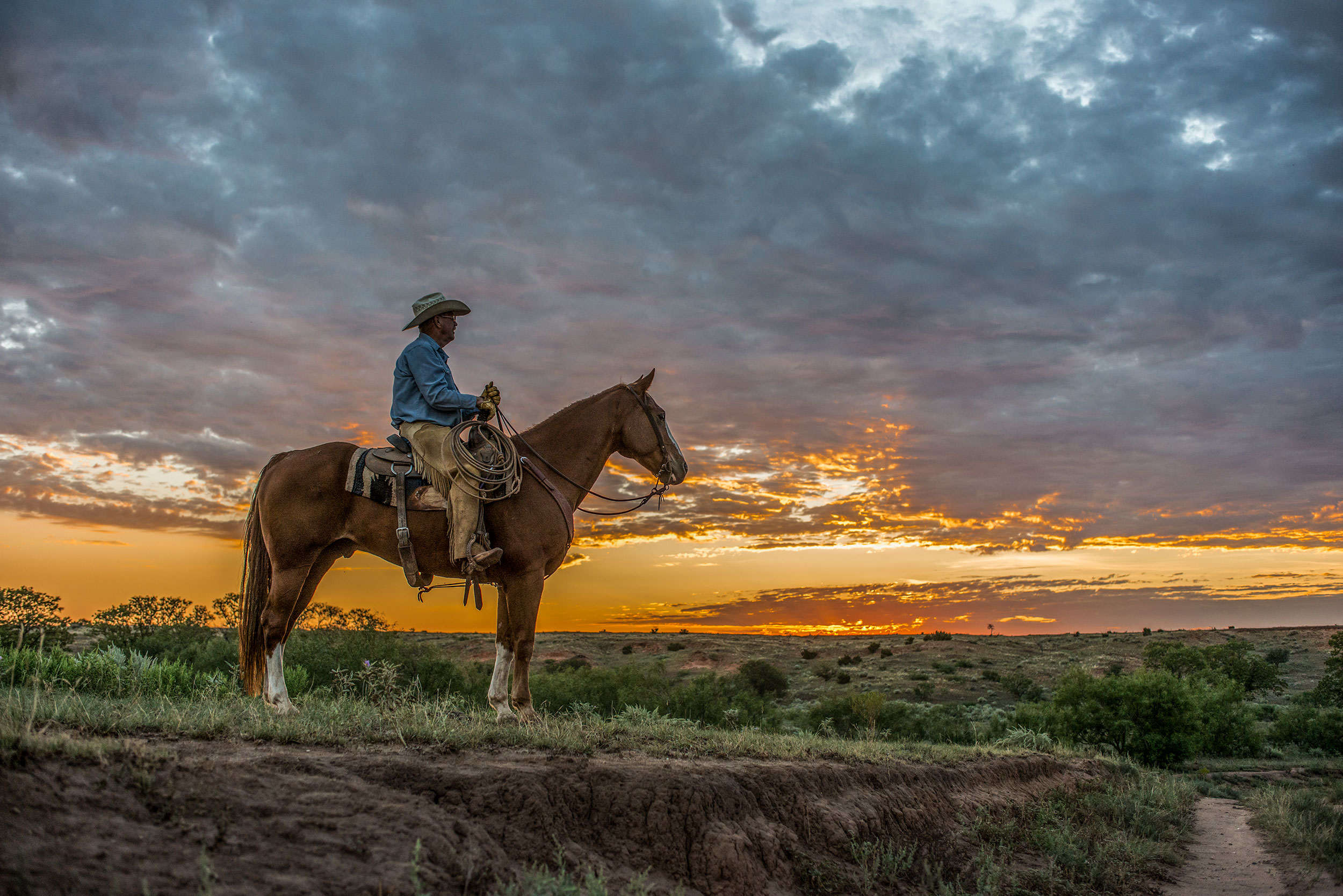 _DSC7942_CowboySky
