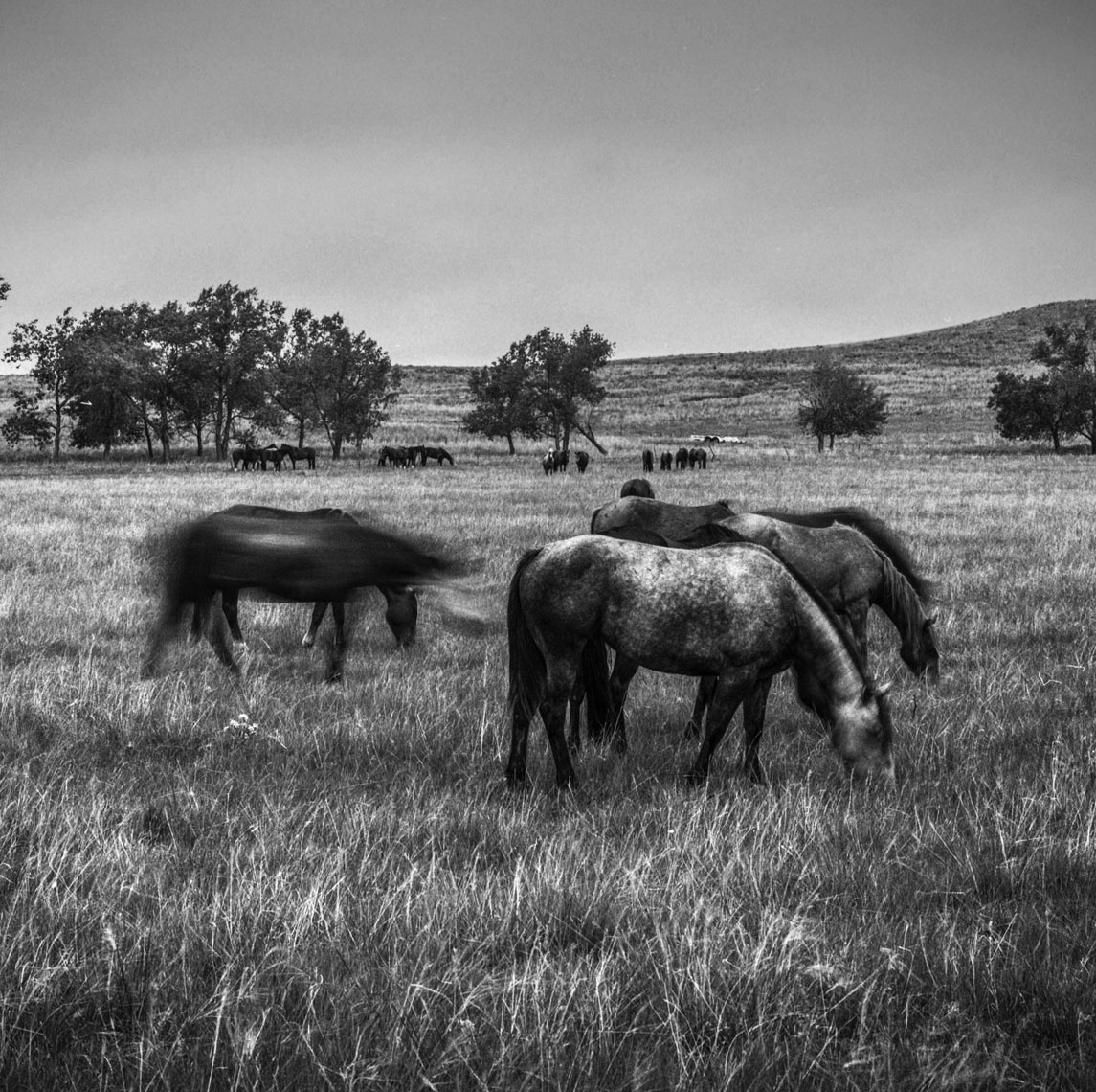 haythorn27